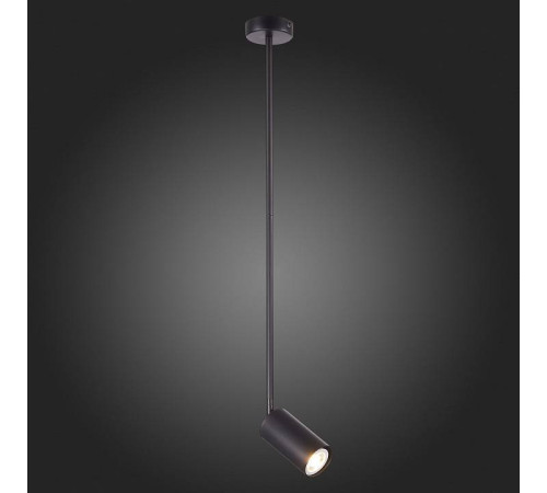 Светильник на штанге ST-Luce Sormano SL1206.403.01