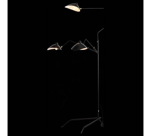 Торшер ST-Luce Spruzzo SL305.405.03