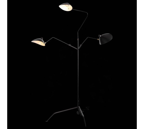 Торшер ST-Luce Spruzzo SL305.405.03