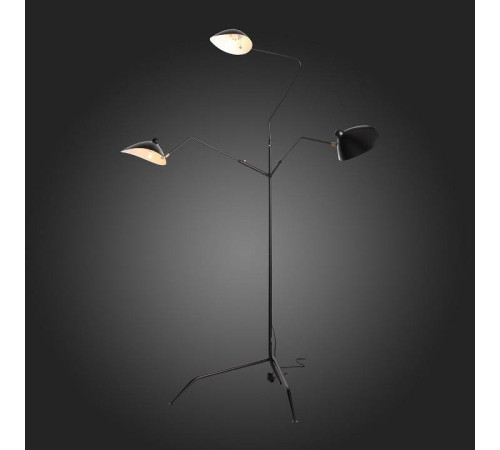 Торшер ST-Luce Spruzzo SL305.405.03
