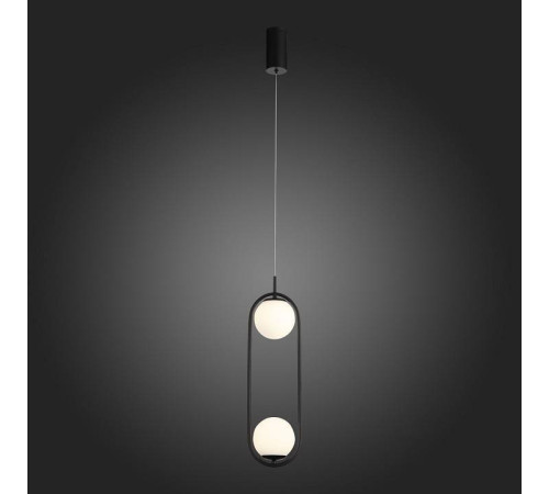 Подвесной светильник ST-Luce Donolo SL395.403.02