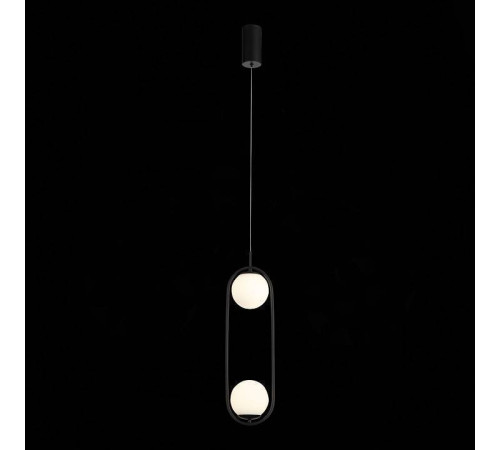 Подвесной светильник ST-Luce Donolo SL395.403.02