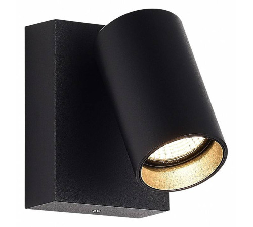 Светильник на штанге ST-Luce Deck SL9515.401.01