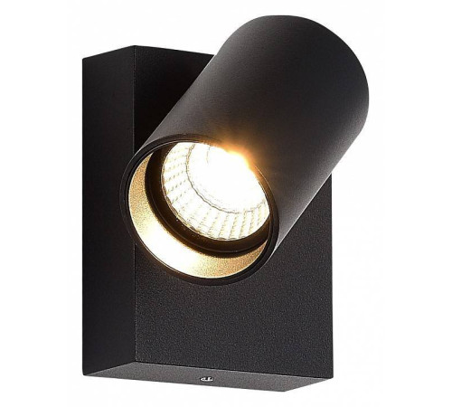 Светильник на штанге ST-Luce Deck SL9515.401.01