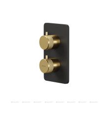 Термостат Allen Brau Priority V.2 Vernet 2 хода черный и золото 5.31213-31GB