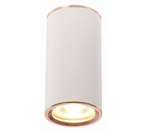 Накладной светильник ST-Luce Chomus ST111.527.01