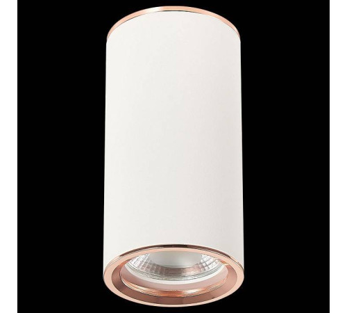 Накладной светильник ST-Luce Chomus ST111.527.01