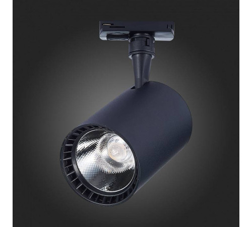 Светильник на штанге ST-Luce Cami ST351.446.30.36