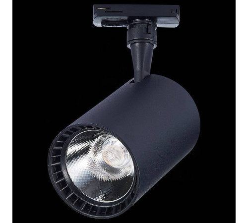 Светильник на штанге ST-Luce Cami ST351.446.30.36