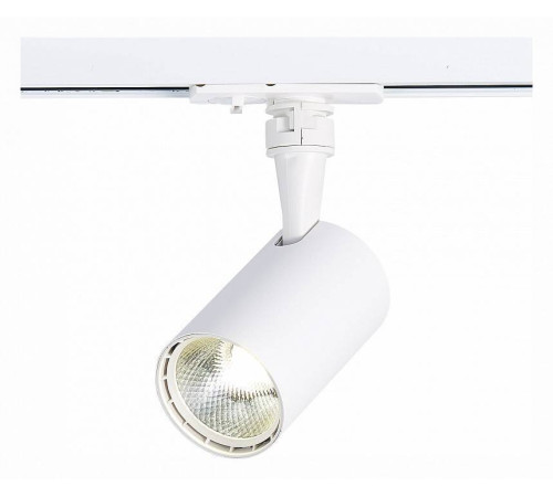 Светильник на штанге ST-Luce Cami ST351.536.10.36