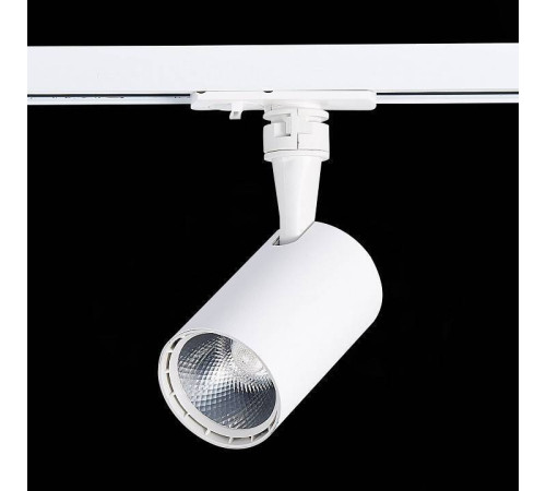 Светильник на штанге ST-Luce Cami ST351.536.10.36