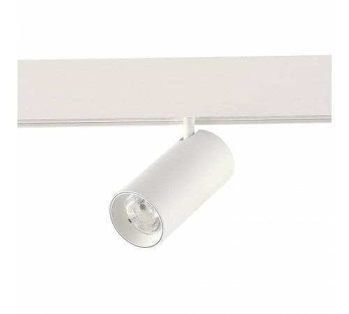 Светильник на штанге ST-Luce ST375 ST375.506.20