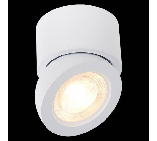 Накладной светильник ST-Luce ST654 ST654.532.10