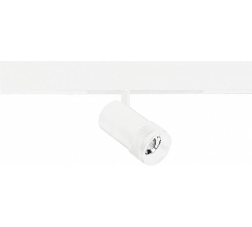 Светильник на штанге ST-Luce SKYLINE 220 ST658.596.20