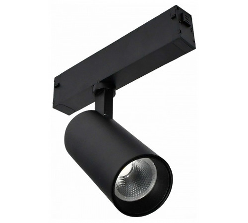 Светильник на штанге ST-Luce SKYLINE 220 ST660.446.10H
