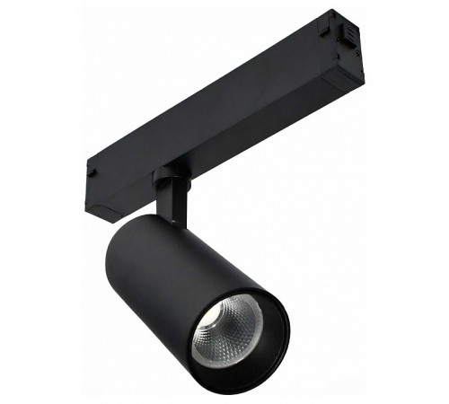 Светильник трековый ST-Luce SKYLINE 220 ST660.446.20H