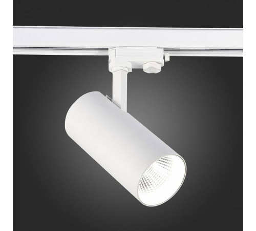 Светильник на штанге ST-Luce ST661 ST661.546.40