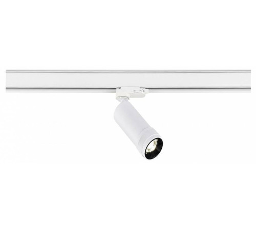 Светильник на штанге ST-Luce ST691 ST691.536.10