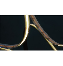 Светодиодная лента SWG PRO SWG-COB840-24-18-RGBWW 18 Вт/м 24V IP20 SWG-COB840-24-18-RGBWW