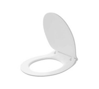 Сиденье для унитаза Sanita Luxe Арктик Slim с микролифтом быстросъемное 9999299373