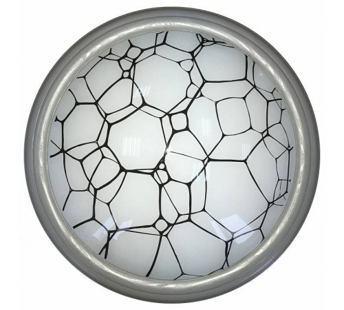Накладной светильник TopLight Ophelia TL1125-1Y