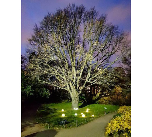 Садовая фигура Uniel Ulg UL-00003302