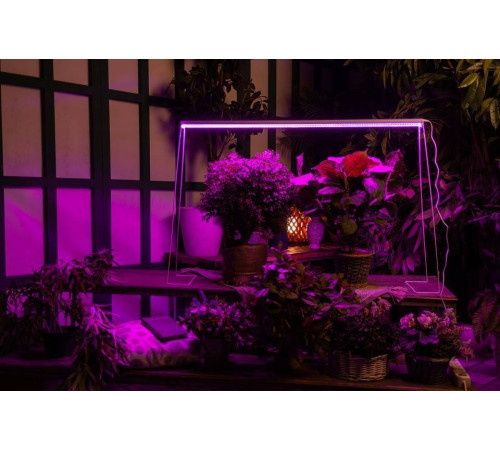 Светильник для растений Uniel ULI-P21 UL-00008921