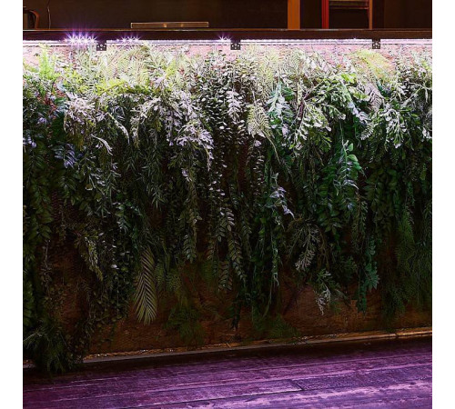 Комплект с лентой светодиодной для растений Uniel ULS UL-00008924