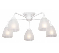 Потолочная люстра Vitaluce  V3946-0/5PL