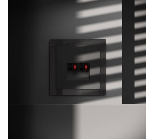 Розетка акустическая без рамки Voltum S70 VLS060308