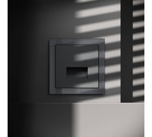 Заглушка для поста с подсветкой, без рамки Voltum S70 VLS070707