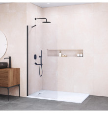 Душевая перегородка RGW WA-102B 1000x1950 мм черный профиль 351010210-14