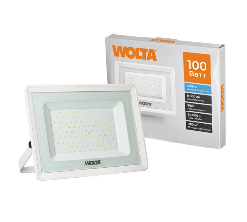 Настенно-потолочный прожектор Wolta WFL-100W/06W