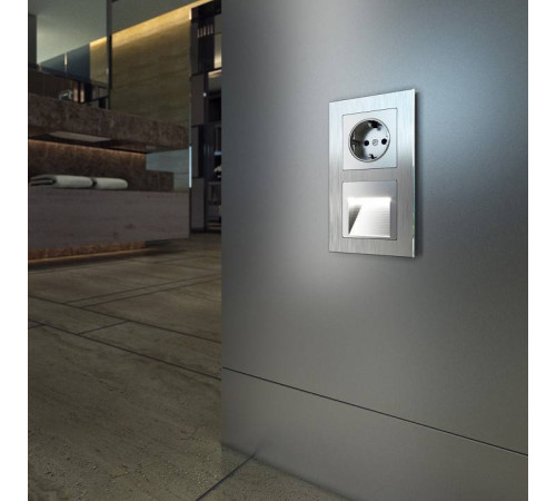 Рамка на 2 поста Werkel Aluminium (алюминий) W0021706