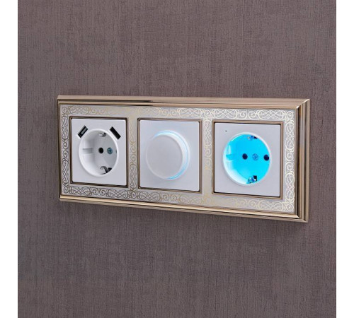 Розетка с заземлением и с шторками и 2хUSB, без рамки Werkel белый W1171501