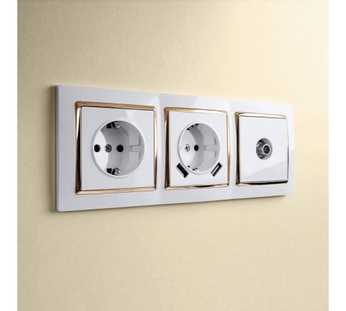Розетка с заземлением и с шторками и 2хUSB, без рамки Werkel белый W1171501