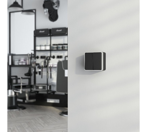 Выключатель двухклавишный влагозащищенный Werkel Gallant (черный с серебром) W5020234