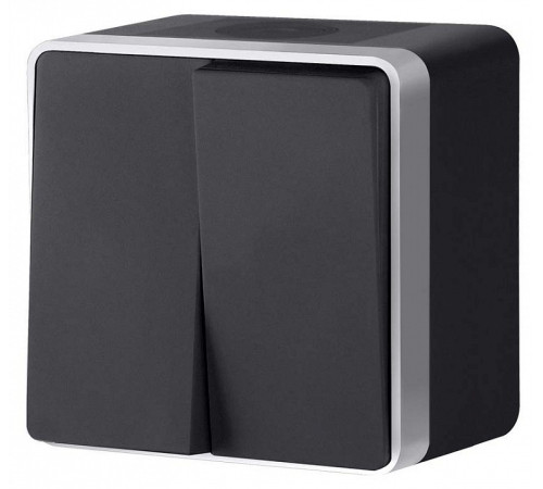 Выключатель двухклавишный влагозащищенный Werkel Gallant (черный с серебром) W5020234