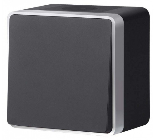 Выключатель одноклавишный влагозащищенный Werkel Gallant (черный с серебром) W5010234