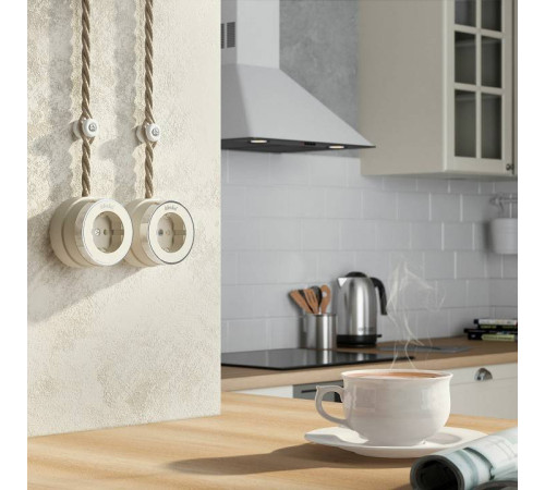 Розетка с заземлением Werkel Vintage слоновая кость, хром W5871055