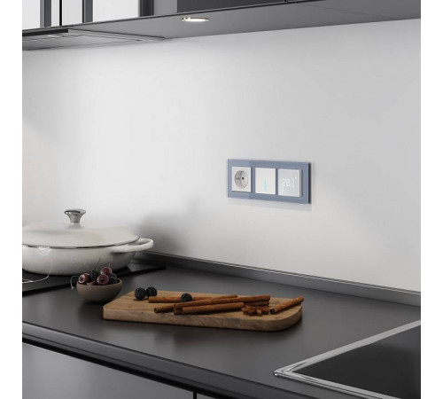 Выключатель одноклавишный с подсветкой без рамки Werkel серебряные W4510006