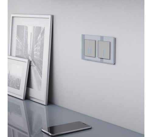 Выключатель одноклавишный с подсветкой без рамки Werkel серебряные W4510006