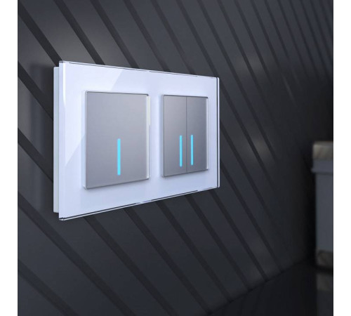 Выключатель одноклавишный с подсветкой без рамки Werkel серебряные W4510006