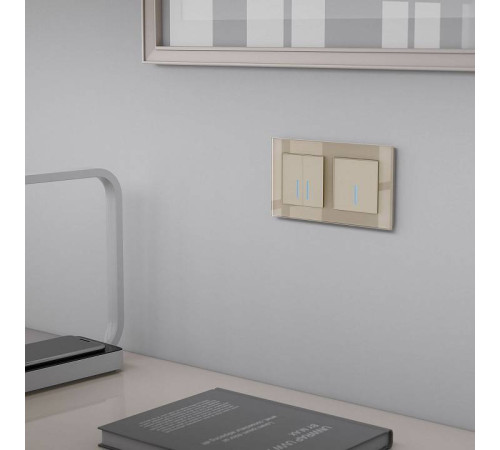 Выключатель двухклавишный с подсветкой без рамки Werkel шампань W4520011