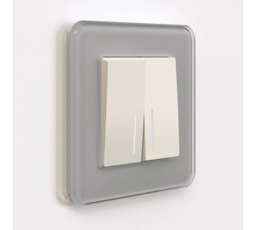 Выключатель двухклавишный с подсветкой без рамки Werkel Айвори матовый W1120162