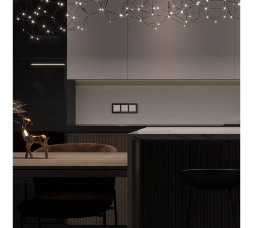 Выключатель сенсорый двухклавишный с подсветкой, без рамки Werkel белые W4522001