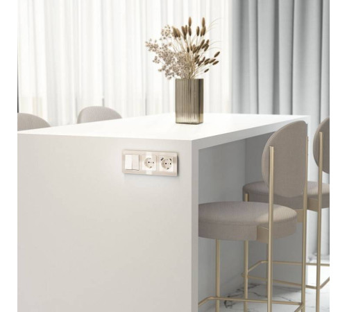 Розетка с заземлением, без рамки Werkel Айвори акрил W1171043