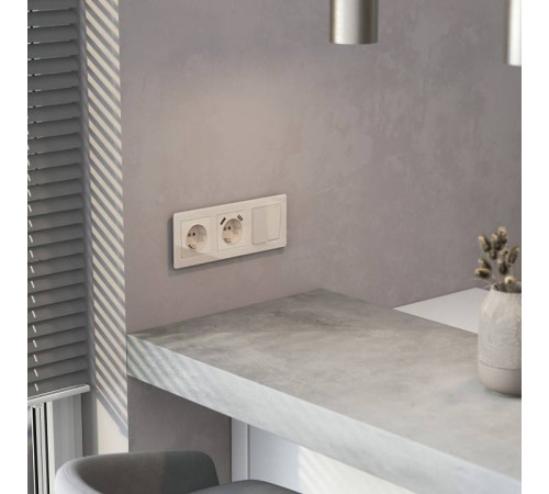 Накладка для розетки с заземлением и 2хUSB Werkel Белый акрил W1179543