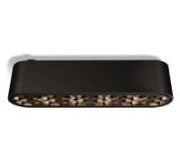 Накладной светильник Wertmark WTH WTH.O21.607.40.06