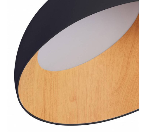 Накладной светильник Zortes Baum ZRS.01243.05